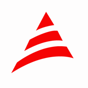 DigiPrax@maniabel.work Logo